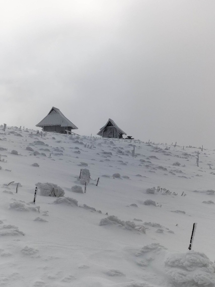 Ale śniegu napadało w Bieszczadach! Warunki w górach są ciężkie. BdPN przestrzega [ZDJĘCIA]