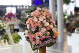 Gardenia 2019: Jakie kwiaty będą modne w tym sezonie? Zobacz gatunki i najpopularniejsze kolory [ZDJĘCIA]
