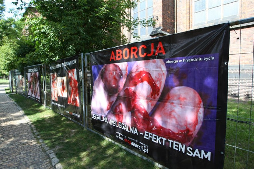 Straż Miejska Wrocławia bierze się za auta ze zdjęciami martwych płodów! 