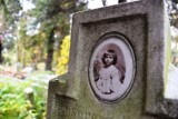 Stary cmentarz ewangelicki w Bielsku-Białej odkrywa swoje tajemnice