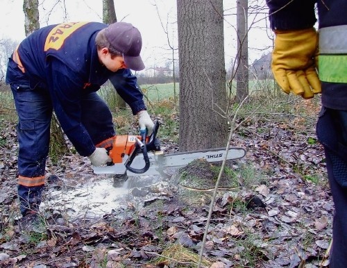 Strażacy praktyczne szkolenie przeszli w toszeckich lasach