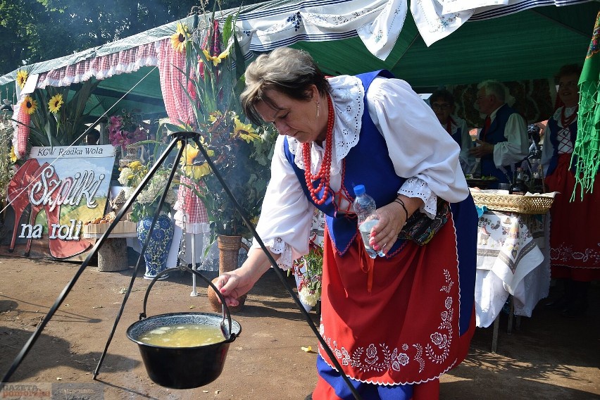 10. Święto Żuru Kujawskiego Brześć Kujawski - boisko w...