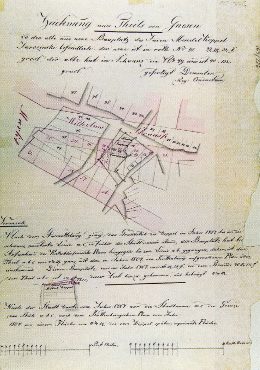 Plan Miasta przed pożarem z 1819 roku