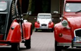 Toruń: Ruszył XVIII Rajd Citroëna [ZDJĘCIA]
