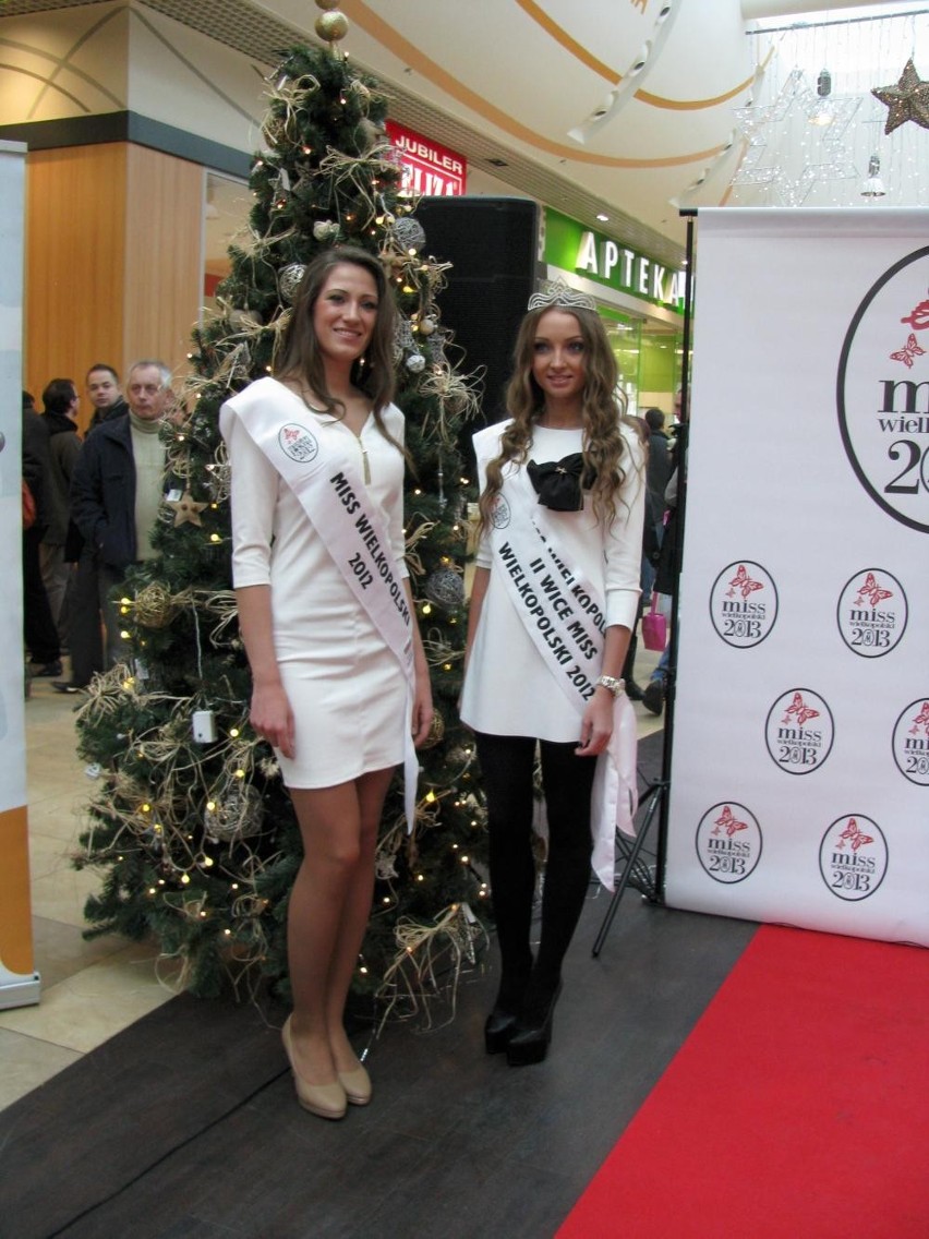 Ostrów: Casting na Miss Wielkopolski 2013. Zobacz kandydatki [ZDJĘCIA]