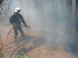 Pod Sieradzem spłonęło 10 hektarów łąk