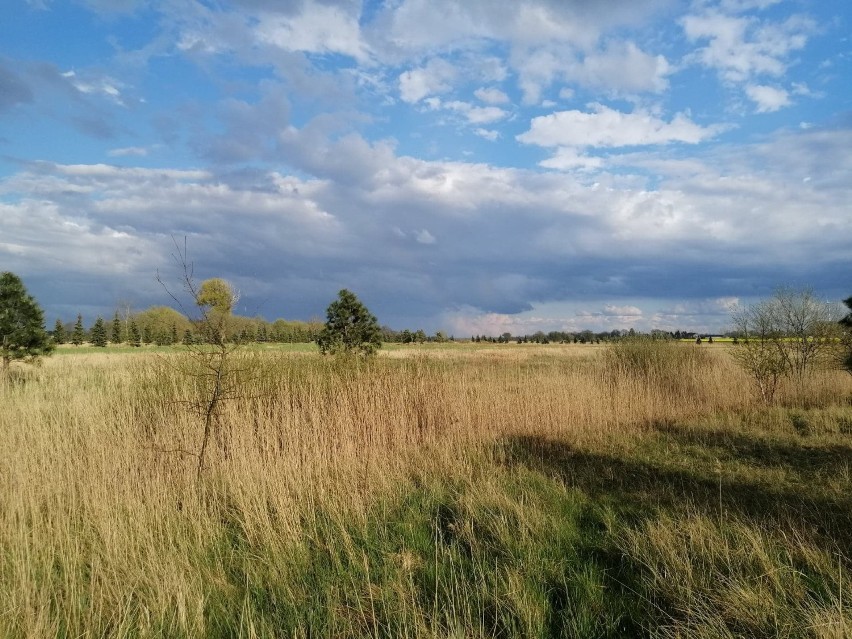 Majówka w okolicach Kołobrzegu - doskonałe tereny na rowerową wyprawę 