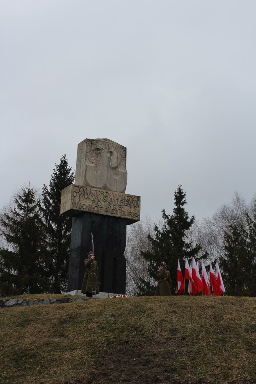 Chełm. Bieg Pamięci Żołnierzy Wyklętych "Tropem Wilczym"