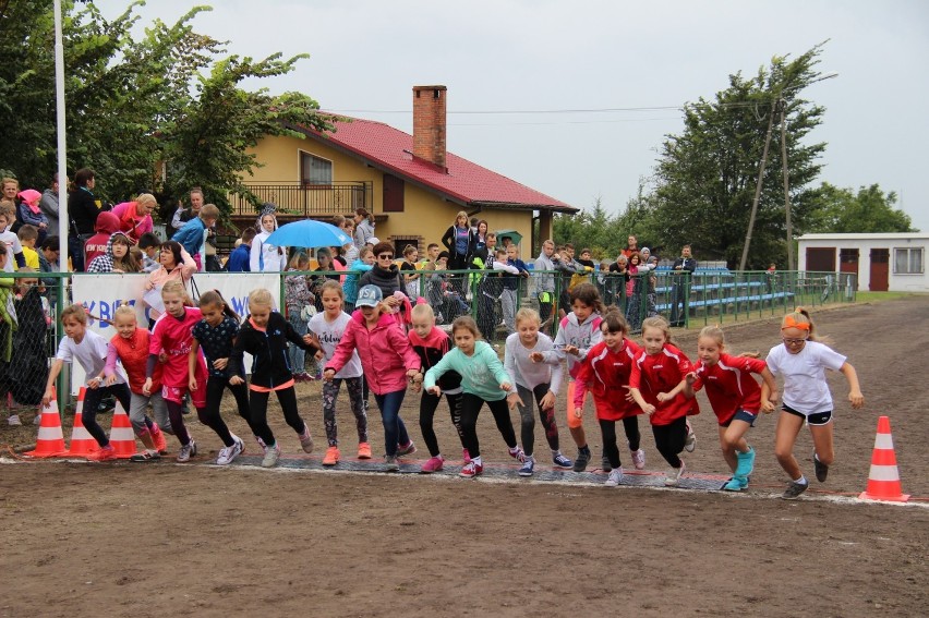 Bieg o Puchar Wójta Gminy Sieroszewice [FOTO]