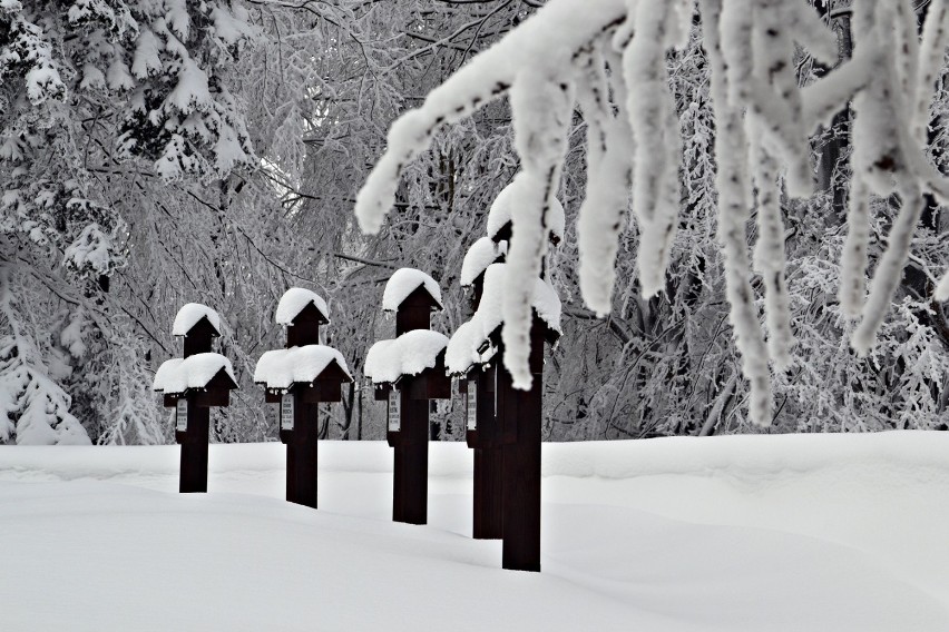Gorlickie. Cmentarz na Rotundzie w zimowej odsłonie robi niesamowite wrażenie, gdy popatrzeć na przysypane śniegiem wieże [ZDJĘCIA]