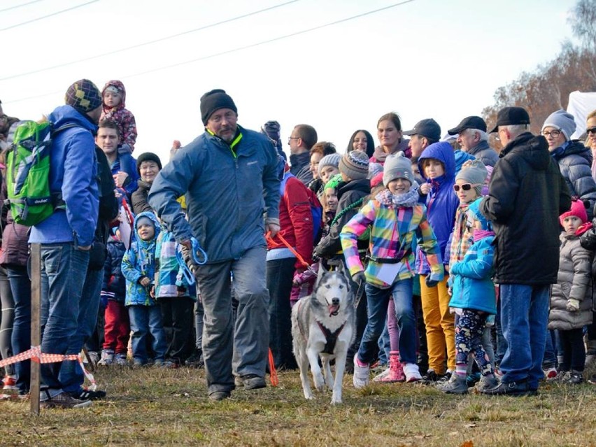 Wyścigi psich zaprzęgów 2015 [FOTO]