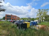 Toruń. Mieszkańcy ul. Ugory skarżą się na wydobywające się z kontenerów odpady