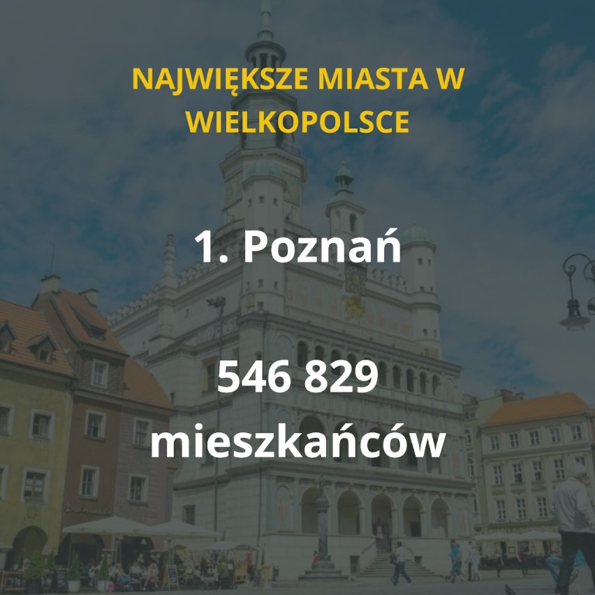 Największe miasta w Wielkopolsce. Sprawdź, gdzie mieszka najwięcej osób! [TOP 20]