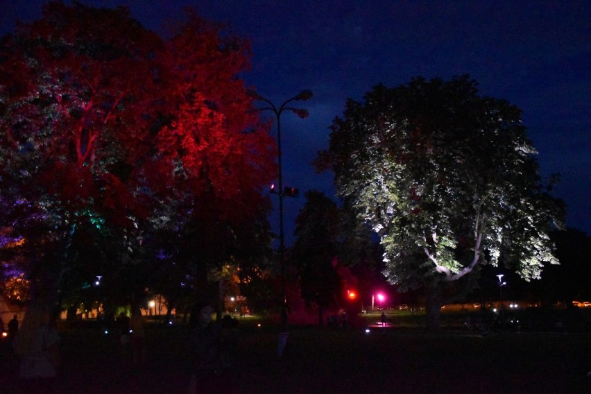 Iluminacja w Parku zachwyca. Jakie są jednak pomysły na jego ożywienie?