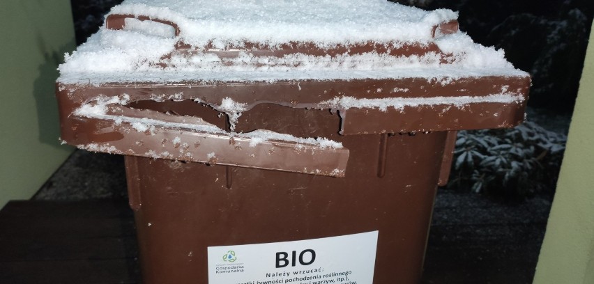 Chrzanów. Związek wymieni mieszkańcom uszkodzone pojemniki na bioodpady. Kubły okazały się wadliwe 
