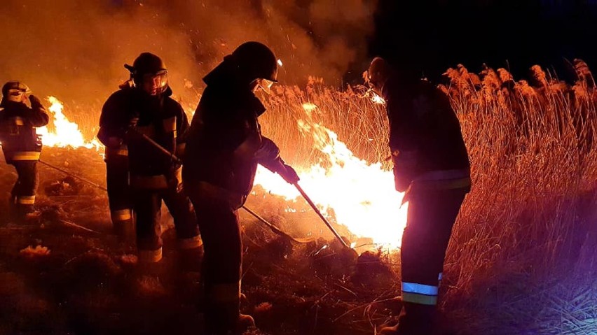 Gmina Sztabin. Strażacy gaszą pożary i apelują do mieszkańców, aby przestali wypalać trawy [Zdjęcia]