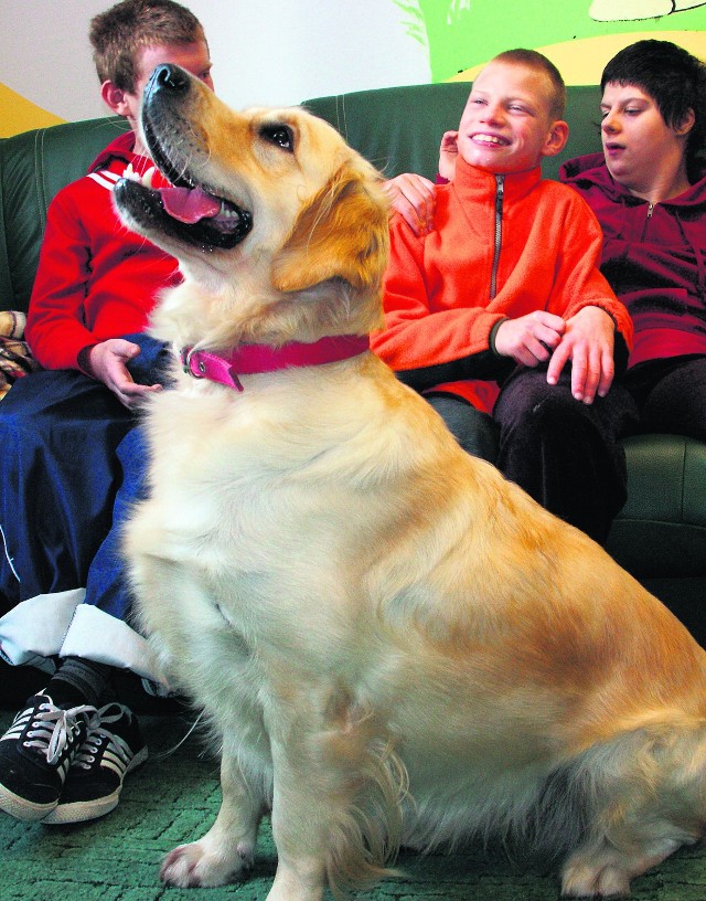 Golden retriverka Quini potrafi z ludźmi czynić cuda