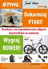 Najciekawsze zdjęcie karmników[plebiscyt - wejdź i zagłosuj]