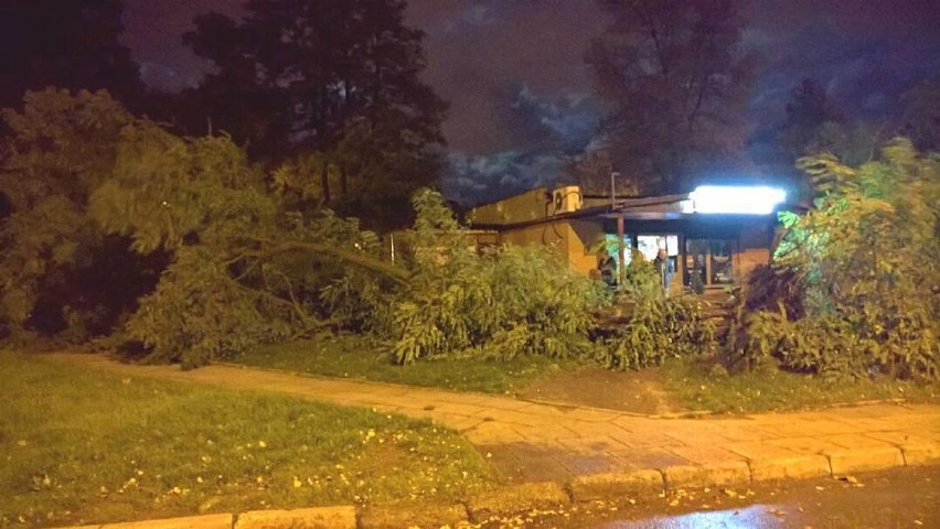 Orkan Ksawery w Sosnowcu. Sporo powalonych drzew, uszkodzone samochody i budynek