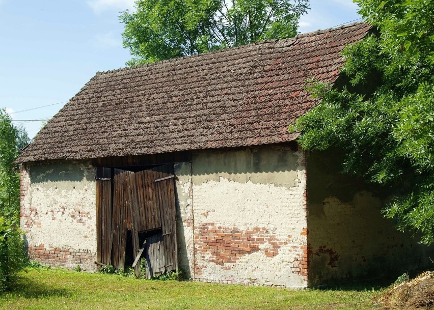 Liczba mieszkańców: 9



Czytaj także:
- Ryby - giganty....