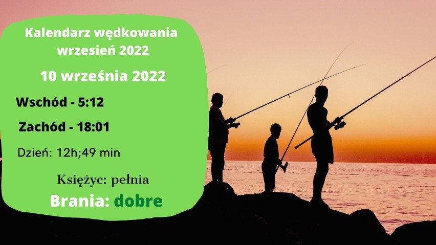 Oto kalendarz brań dla wędkarzy na drugą połowę września 2022. Zobacz, kiedy najlepiej wybrać się na ryby