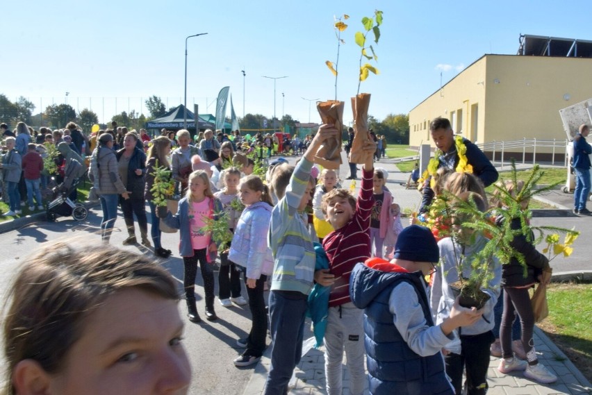 Udana akcja "Drzewko za surowce" w Końskich. Rozdano 4 tysiące sadzonek! Zobacz zdjęcia
