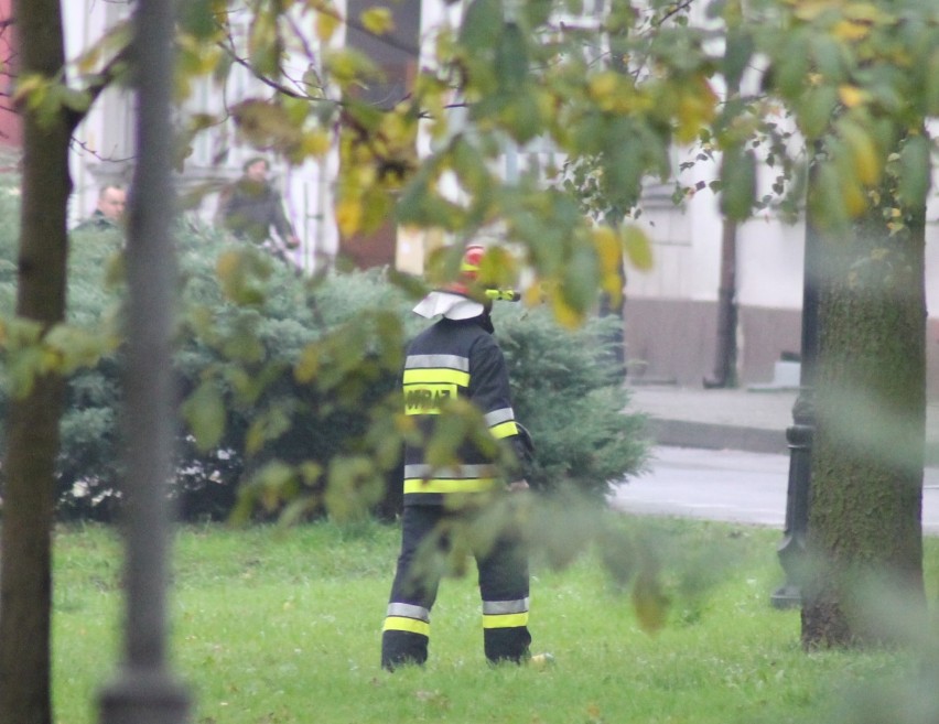 Co robili strażacy w Parku Miejskim? [ZDJĘCIA]
