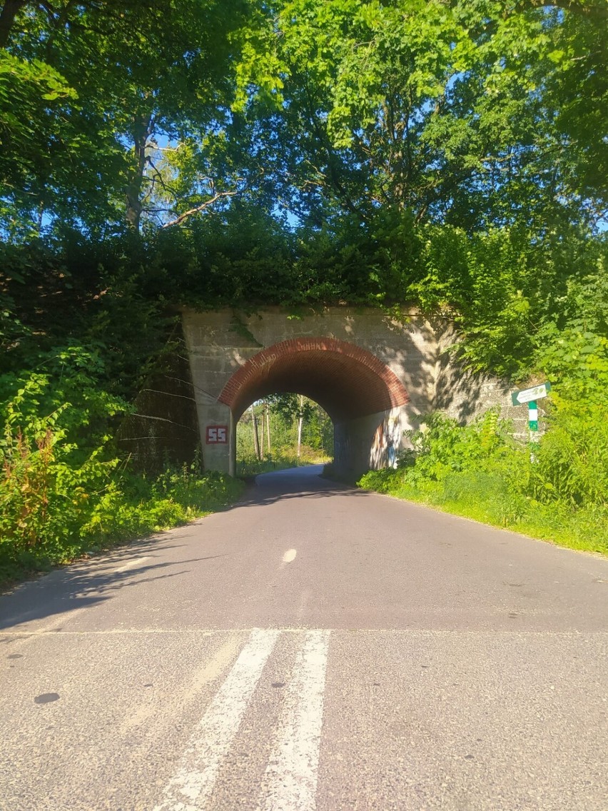 Samotna wyprawa rowerowa z Sieradza do Gdańska młodego sieradzanina Dawida Sowijaka ZDJĘCIA