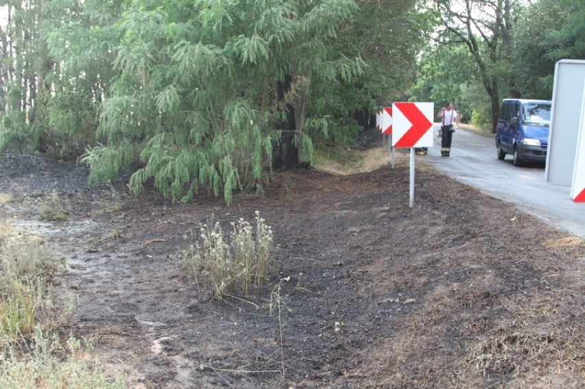 Pożar zboża oraz lasu na trasie Kaszczor - Łupice 