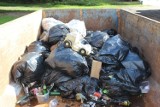 Brzegi Warty w Kostrzynie były usłane śmieciami. Mieszkańcy postanowili to zmienić i posprzątali brzegi rzeki