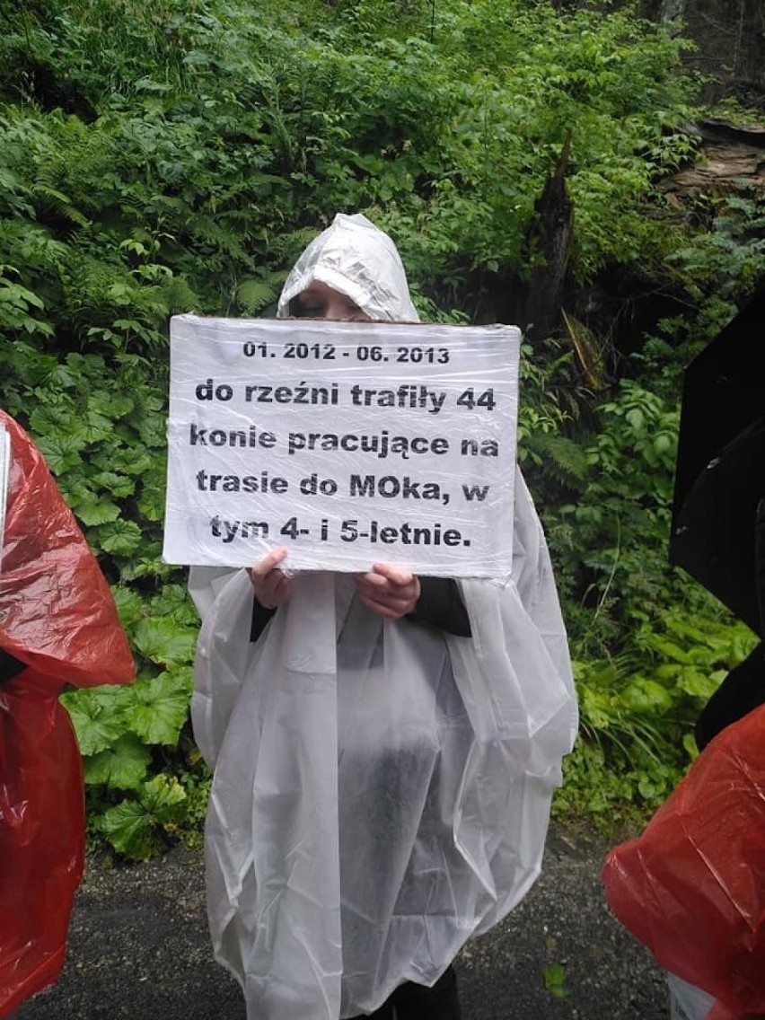 Tatry. Spacerowali z transparentami w obronie praw koni z Morskiego Oka
