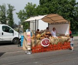 Jarmark Świętojański i Buskers Festival 2012