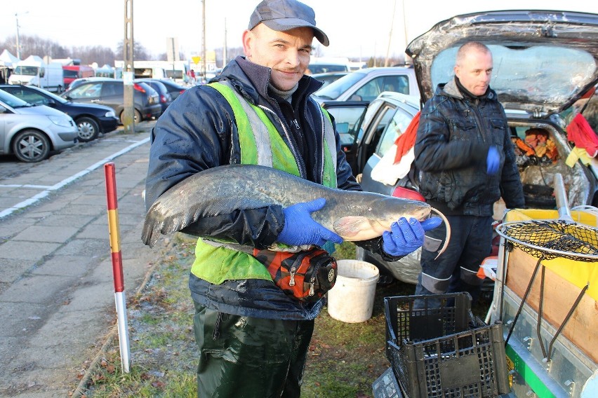 Karpie, sumy, choinki, stroiki i inny świąteczny asortyment na targowisku w Wieluniu ZDJĘCIA