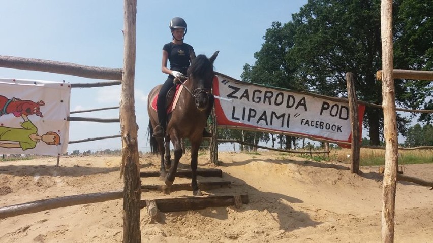 Zagroda Pod Lipami, Błońsko -  SMS pod nr 72355 o treści...