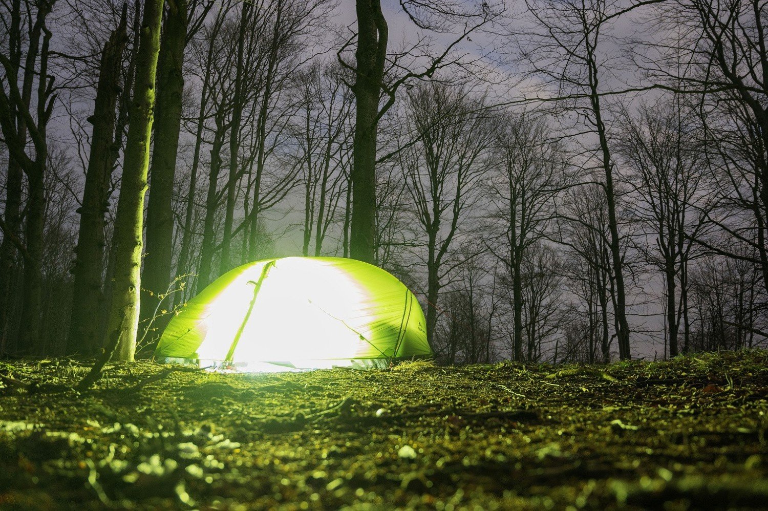 Biwak w lesie. Gdzie w województwie lubelskim można rozbić namiot? Zobacz  mapy | lubelskie Nasze Miasto