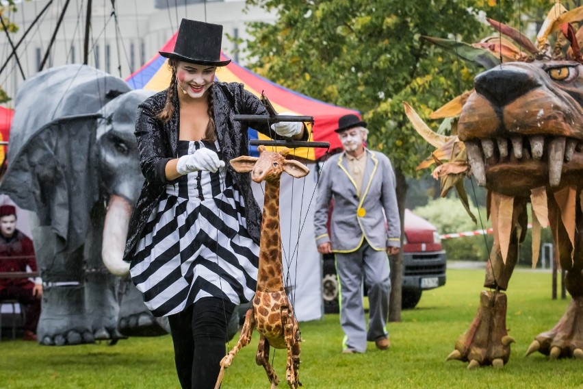 Festiwal „Pozytywka” w Bydgoszczy to moc atrakcji. Cztery dni lata jak z baśni w artystycznym miasteczku!