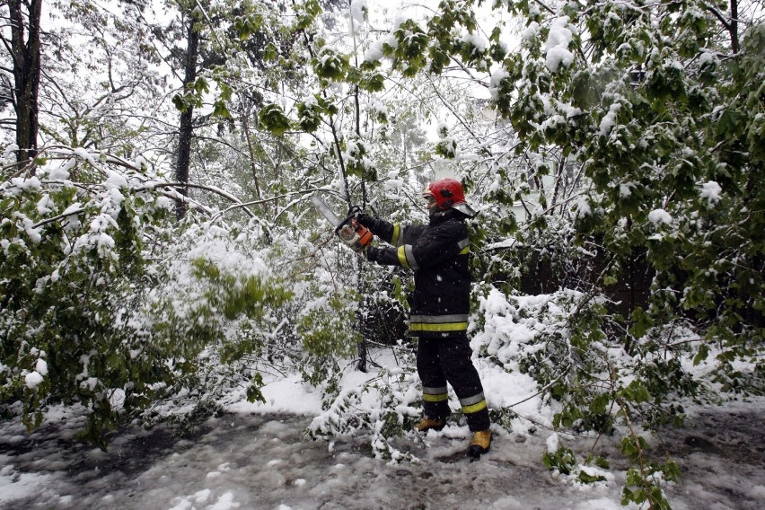 Pamiętacie majowy śnieg w Legnicy? to już trzynaście lat minęło, zobaczcie zdjęcia