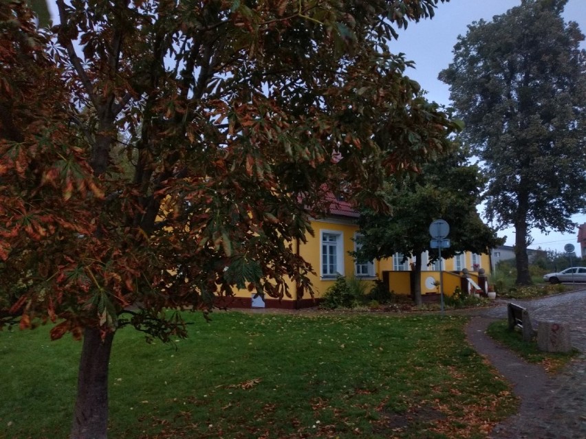 Jesień w Rumi w obiektywie. Zobaczcie zdjęcia z Parku Starowiejskiego i na Janowie