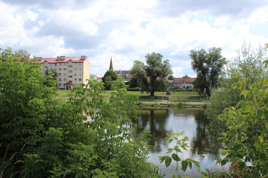 Park Ryb Pojezierza Dobiegniewskiego powstał nad Wartą w...