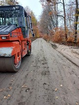 Budują publiczną drogę leśną z Radosławia do Starego Krakowa. Zdjęcia