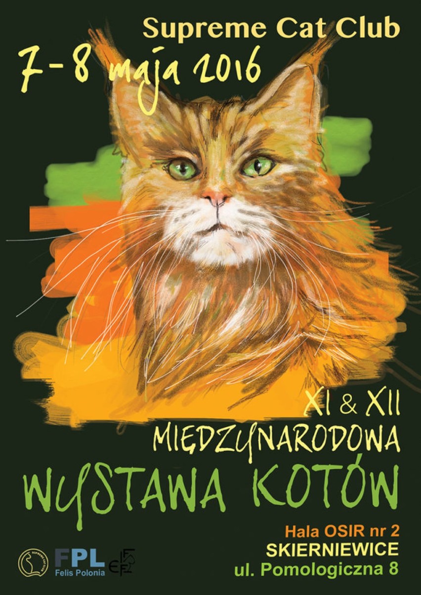 Wystawa kotów w Skierniewicach
