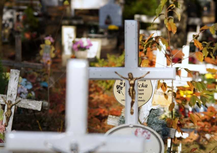 1 listopada na cmentarzu komunalnym w Zielnej Górze  (dzień)