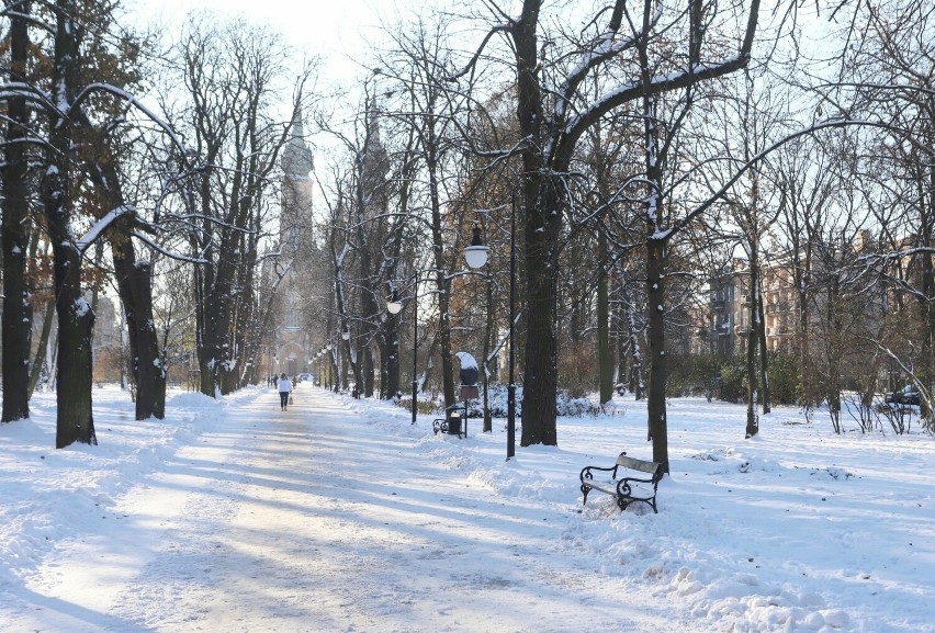 Zima w parku imienia Tadeusza Kościuszki.