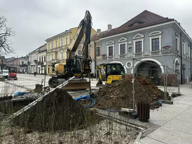 Na Rynku w Kielcach prowadzona jest rewitalizacja. Niedawno posadzone krzewy zostały....wykopane. Więcej na kolejnych zdjęciach.