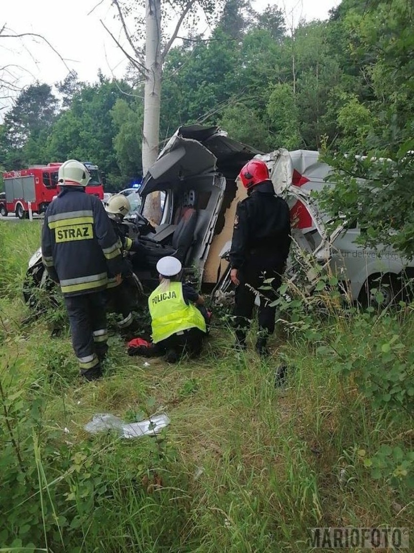 Wypadek w Osowcu. Kierowca kurierskiego busa uderzył w drzewo. Jest ranny [ZDJĘCIA]