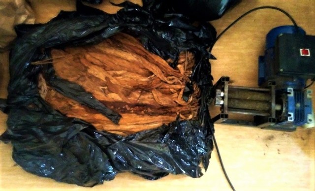W mieszkaniu Grybowianina policjanci znaleźli m.in. 27 kg sprasowanych liści tytoniu