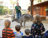  Cenny wkład ogrodów zoologicznych na rzecz edukacji