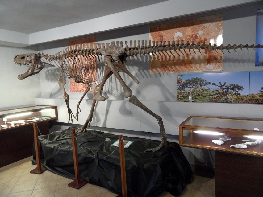 Muzeum Paleontologiczne w Lisowicach czeka na zwiedzających. Zobaczcie, co można w nim zobaczyć