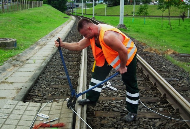 Tramwaje wracają na Pestkę