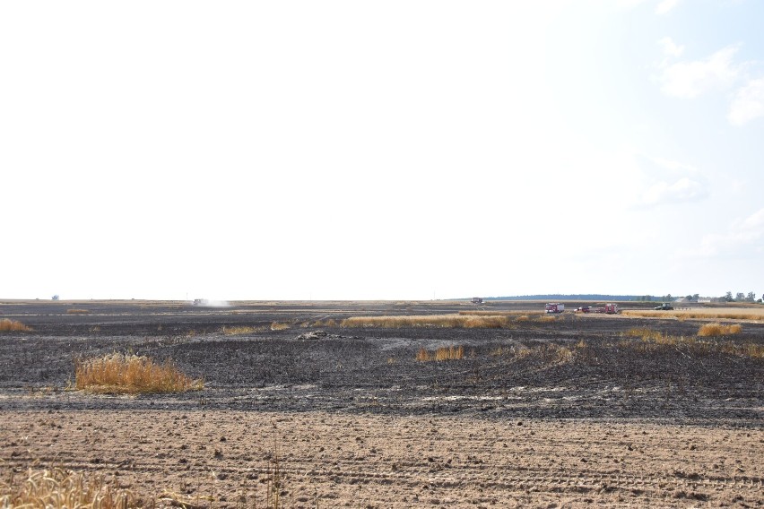 Pożar zboża na polu w Sulinowie, gmina Żnin.
